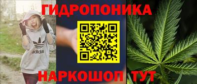 гашик Туймазы